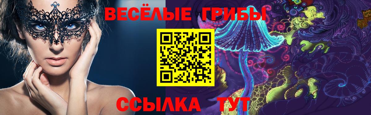 Псилоцибиновые грибы мицелий Лабытнанги