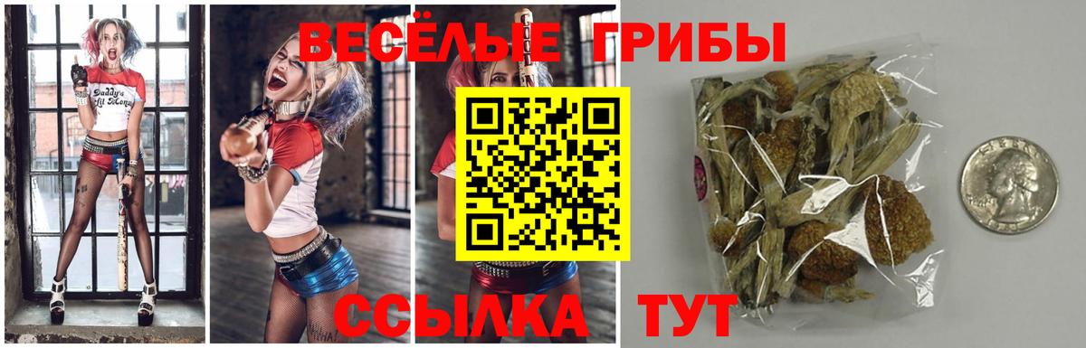 магазин    Галлюциногенные грибы прущие грибы  Вход с VPN  Лабытнанги 